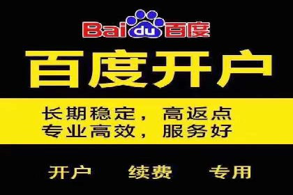 百度竞价托管运营策略案例分析